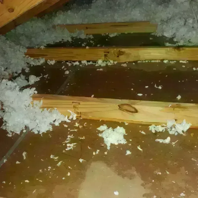 Attic Water Damage in Russellton, PA